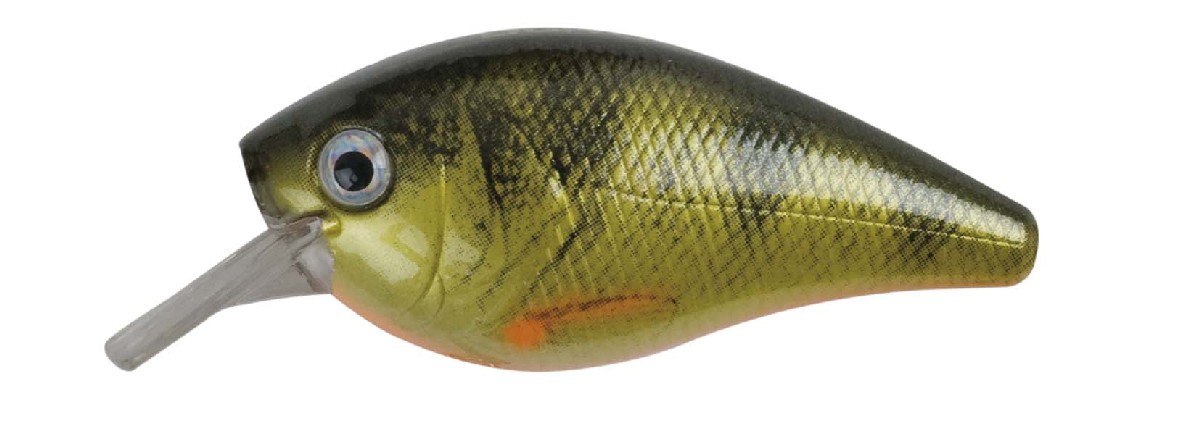 Doiyo Kobito 45 FL