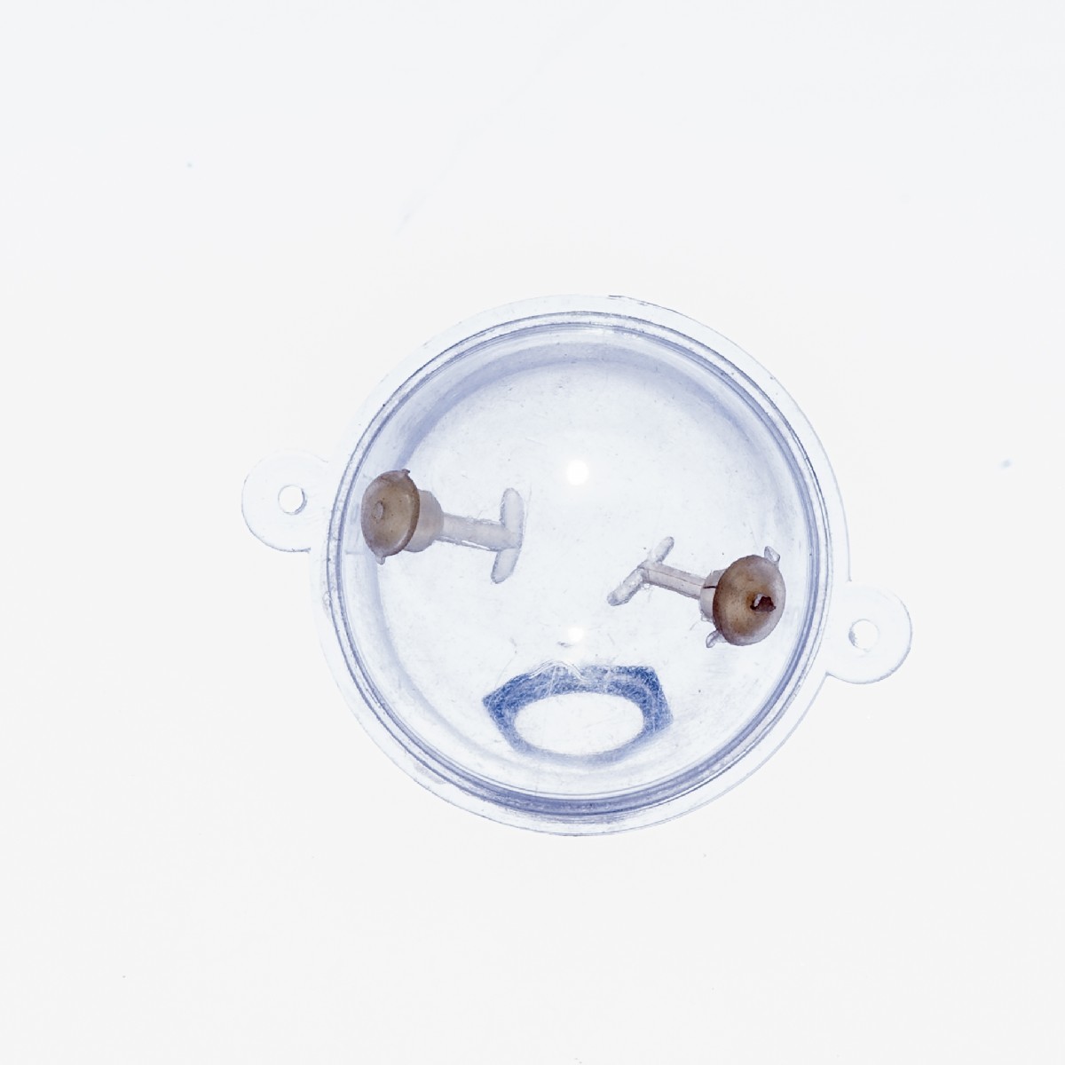 Fish Float Water 35 mm