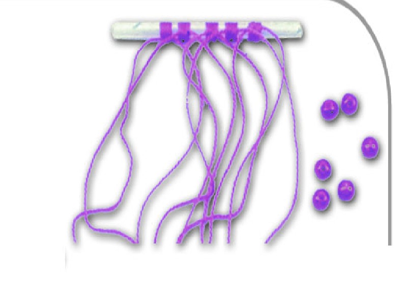 Fish Stoppers on tube Small