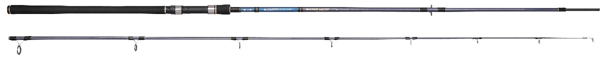Spro Salty Beast Sea Bass Master 40-120Gr