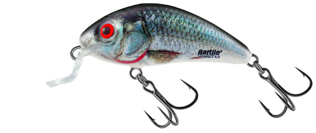Salmo Rattlin Hornet 3,5 cm Shallow Runner Holographic Real Dace