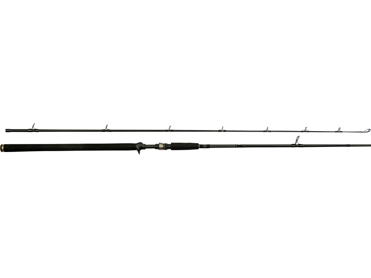 Westin W3 Powercast-T 2nd Generation 2.48 m 20-80 gr XH 2pc.