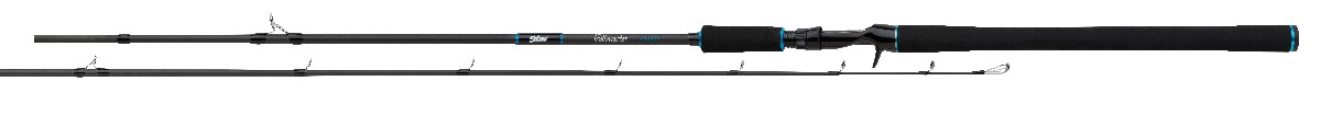 Salmo Trollmaster 240Cm 40-60Gr 2Pc.