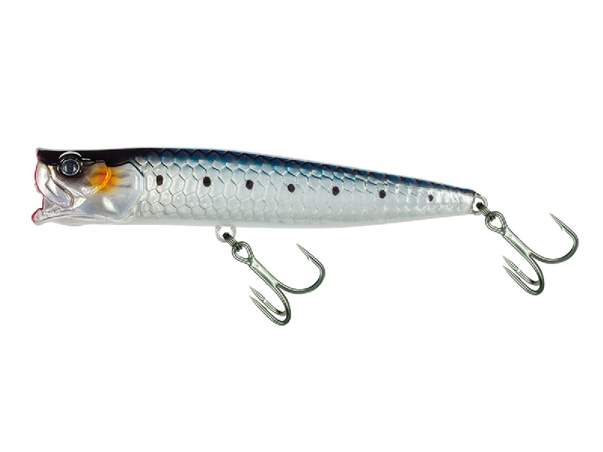 Molix Popper 85T 8,5Cm Sardine