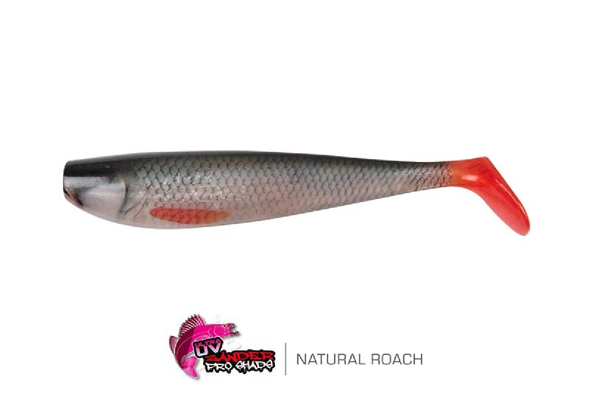 Fox Rage Zander Pro Shad 16cm Ultra Natural Roach