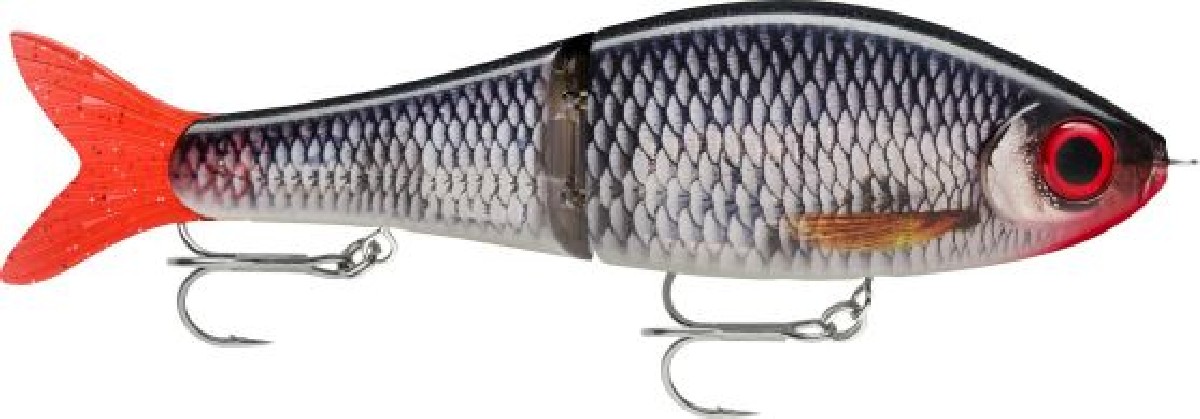 Rapala Super Shadow Rap Glide 16 Live Roach - ROL