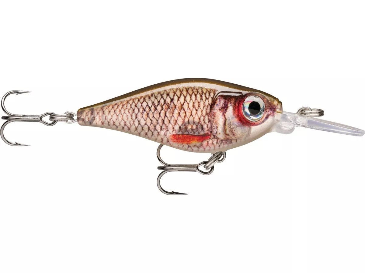 Rapala X-Light Shad 04 Live Roach - ROL