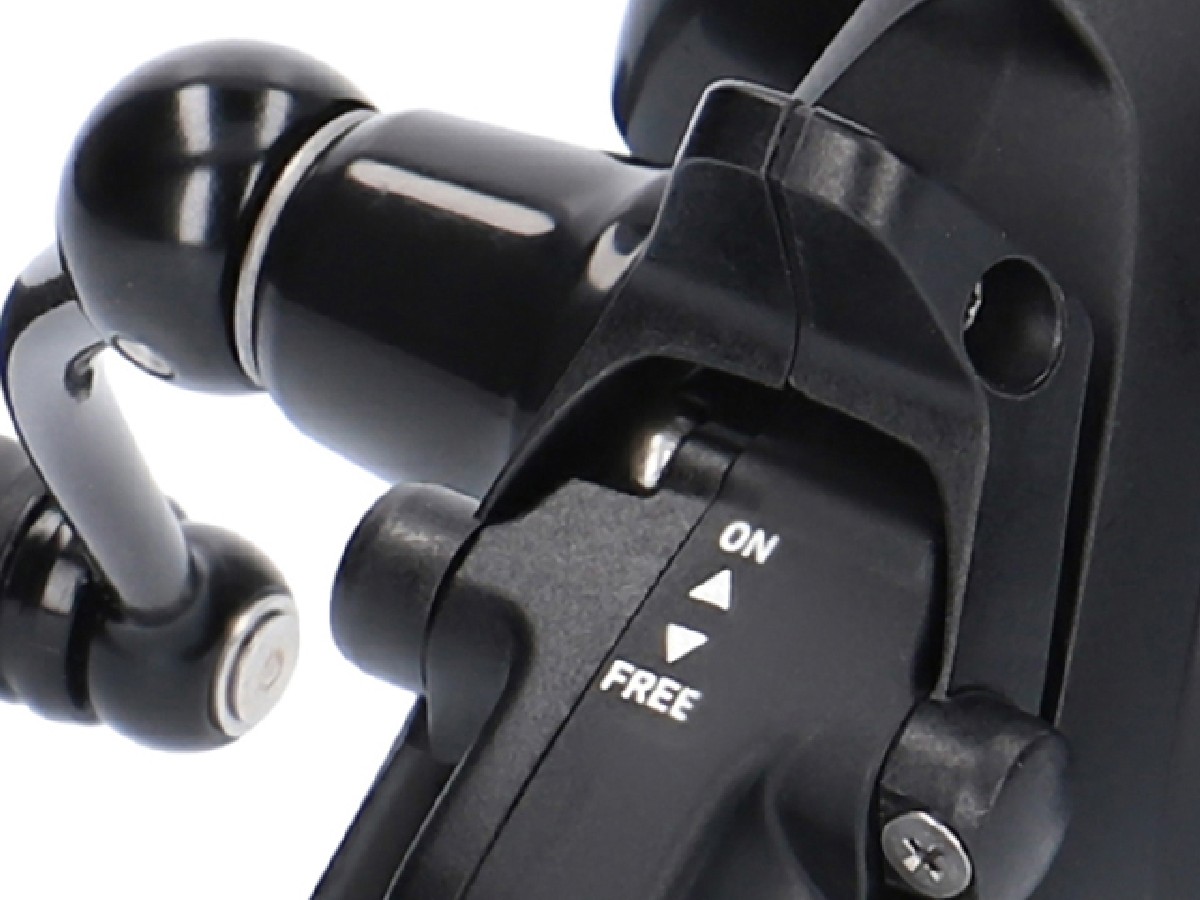 Daiwa Black Widow BR LT 19 2500 Daiwa Black Widow BR LT 19 2500