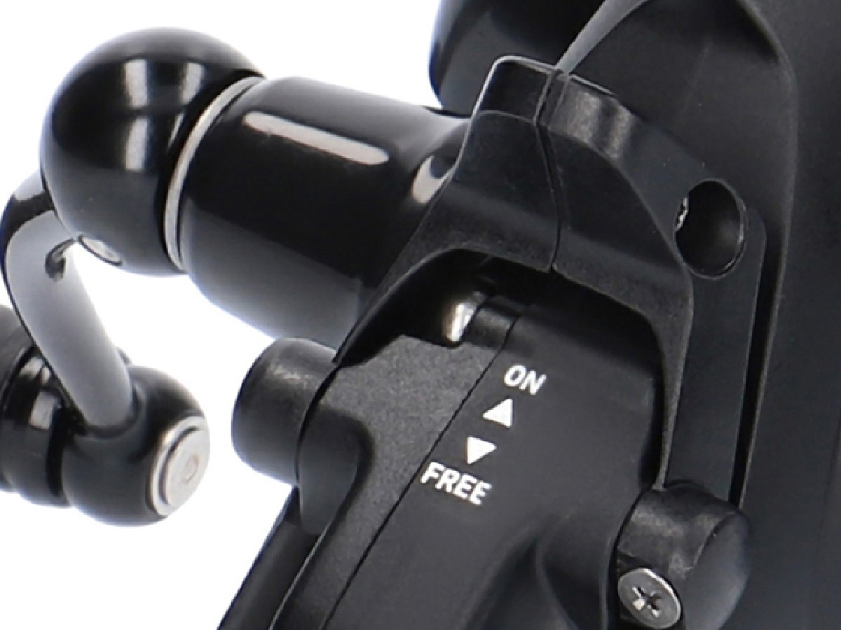 Daiwa Black Widow BR LT 19 3000 Daiwa Black Widow BR LT 19 3000