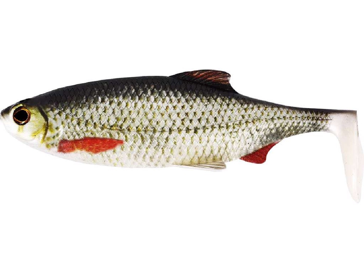 Westin Ricky the Roach Shadtail 14cm Real Roach