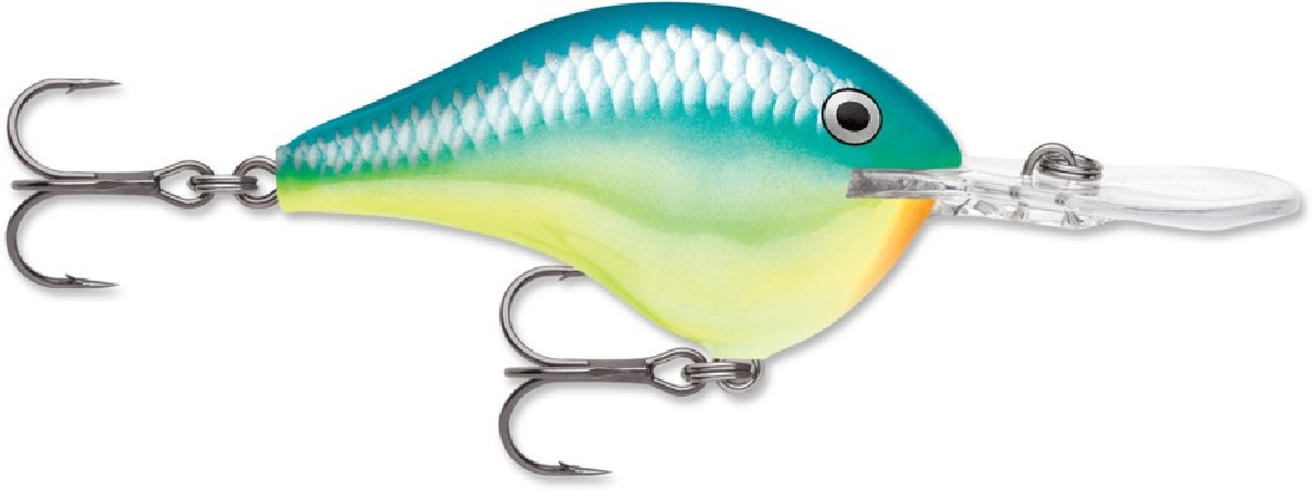 Rapala DT (Dives-To) 16 Caribbean Shad - CRSD