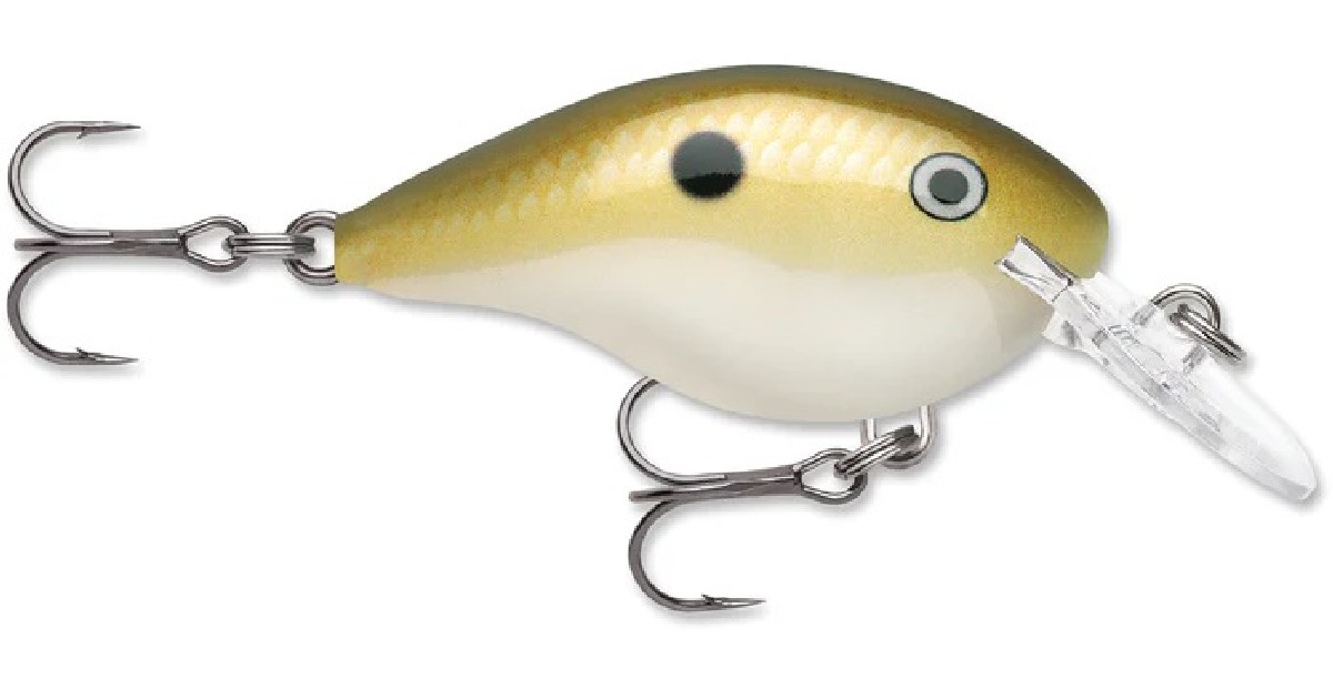 Rapala DT (Dives-To) 16 Lemon Shad - LSD