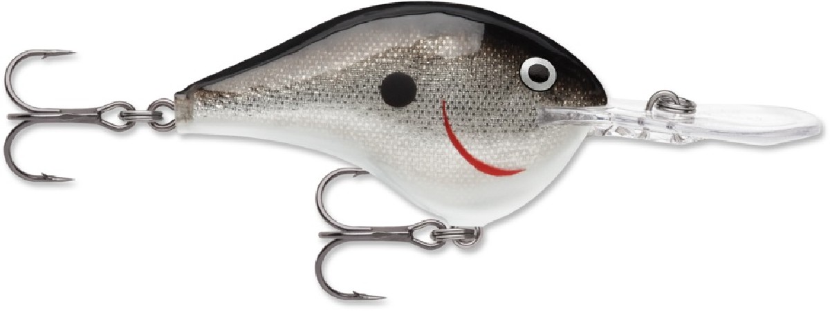 Rapala DT (Dives-To) 16 Silver - S