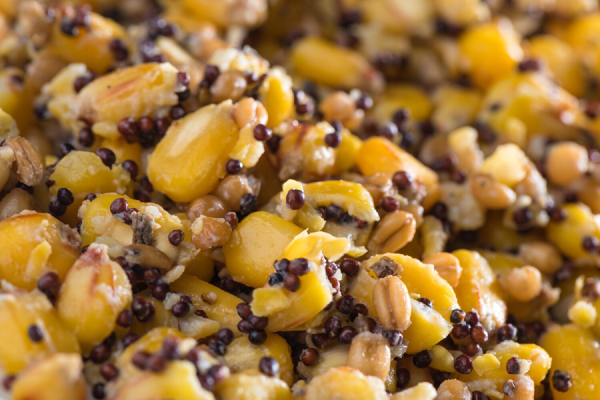 Mivardi Particle Mix 5kg