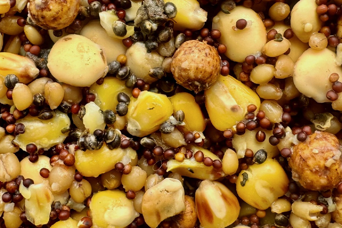 Mivardi Premium Particle Mix 1kg