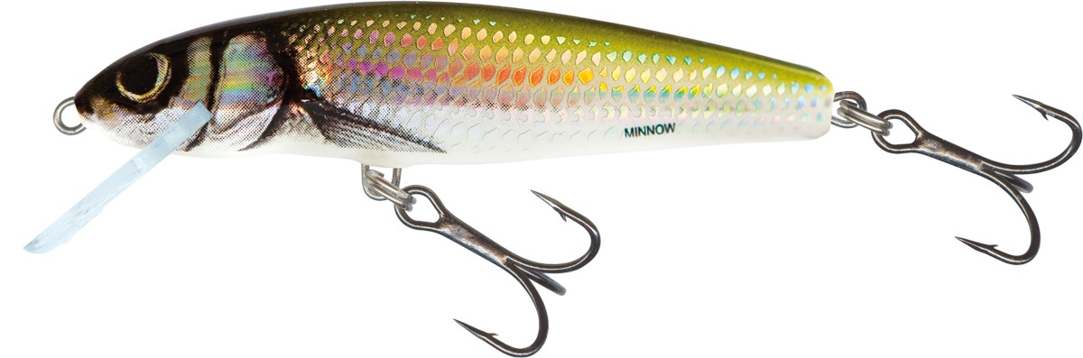 Salmo Minnow 6 cm Floating Holo Bleak