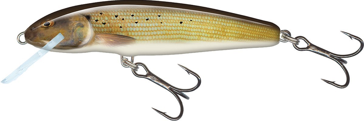 Salmo Minnow 6 cm Sinking Spirlin