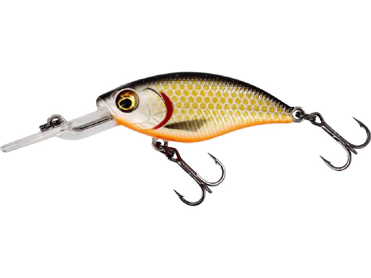 Westin BuzzBite Crankbait 4cm 4Gr Low Floating Official Roach