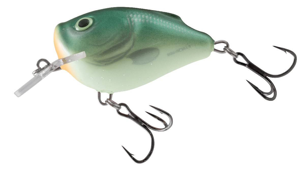 Salmo Square Bill 6Cm (Sq6F)