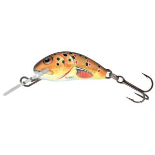 Salmo Hornet Sinking 3,5cm Trout