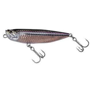 Molix WTD-65 Fat Rattlin Tarpon Series Atherina