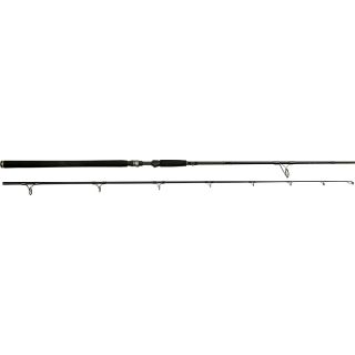 Westin W3 Powercast 2nd Generation 2pc. 2.48 m 20-80 gr XH