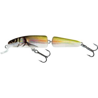 Salmo Fanatic 7cm Holo Bleak