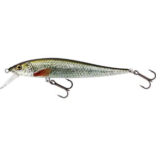 Westin Jerkbite SR 9 cm 8 gr Suspending Real Roach