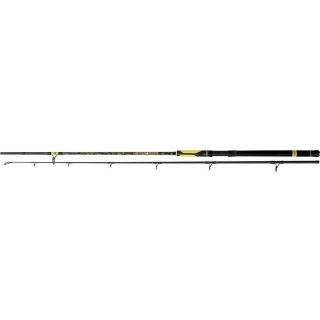 Black Cat Perfect Passion Spin 2,70 m 60-200 gr