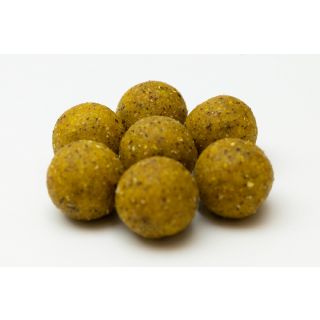 Fish Budget Boilies 20mm 10kg Scopex