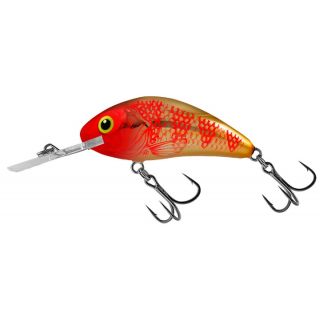 Salmo Rattlin Hornet 4.5Cm Golden Red Head