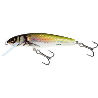 Salmo Minnow 6 cm Floating Holo Bleak