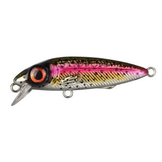 Spro Iris The Kid Hardlure Firetiger 3,8cm 3gr Rainbow Trout