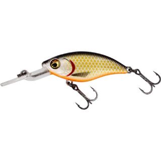 Westin BuzzBite Crankbait 4cm 4Gr Low Floating Official Roach