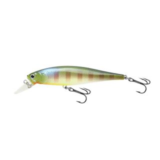 Lucky Craft Pointer 100 Be Gill