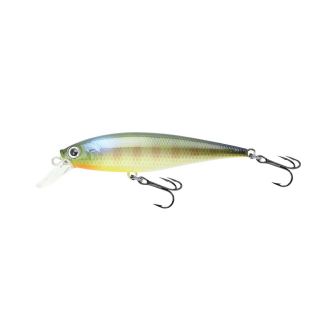 Lucky Craft Pointer 78 Be Gill