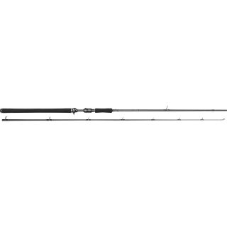 Westin W3 PowerCast-T 3rd Generation 2.51 m 40-130 gr XXH 2pc.