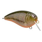 Spro Baby Fat John 50 WaterMelon Orange Belly