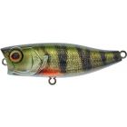 Illex Chubby Popper 42 Perch RT