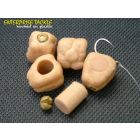 Enterprise Imitation Dog Biscuit 5st.