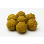 Fish Budget Boilies 20mm 10kg Scopex