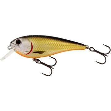 Westin RawBite 11cm 27Gr Low Floating Official Roach