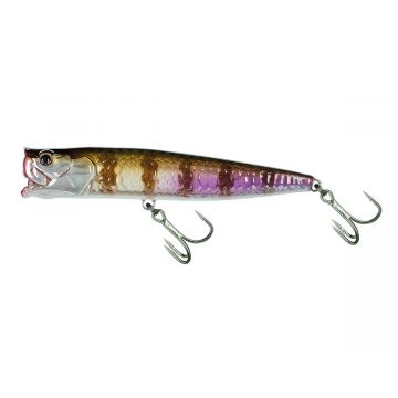 Molix Popper 85T 8,5Cm Ghost