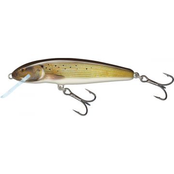 Salmo Minnow 7cm Sinking Spirlin