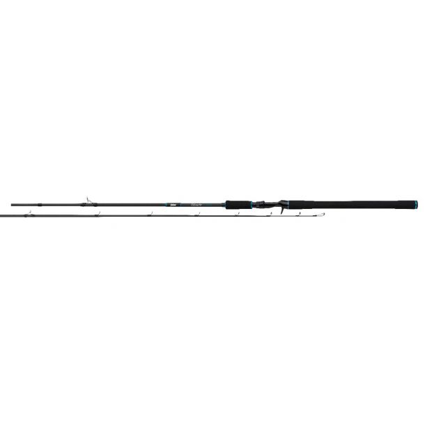 Salmo Trollmaster 240Cm 40-60Gr 2Pc. main product photo