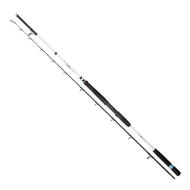 Zebco Great White Boat MH 2,20 m 100-350 gr main product photo