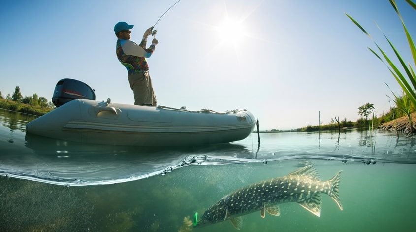 binnenplaats film Om toestemming te geven Fish Inn; de Nr. 1 online hengelsportzaak - webshop!